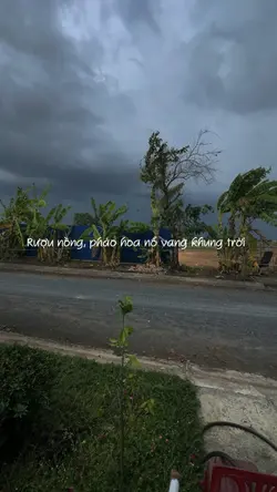 VU QUY 