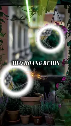 MÈO HOANG REMIX