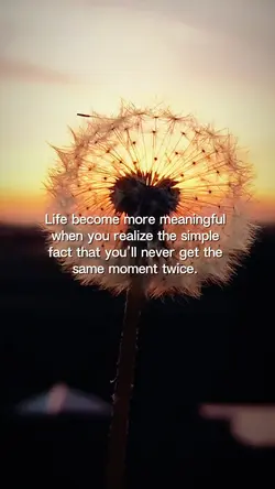 Life