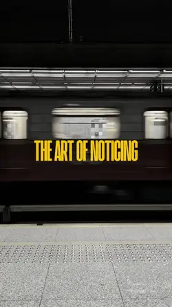 The art of noticing