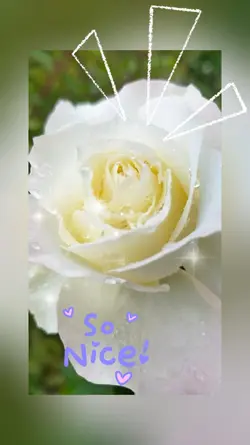 For you