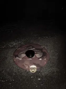 Melt