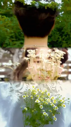 2 photo 1 video