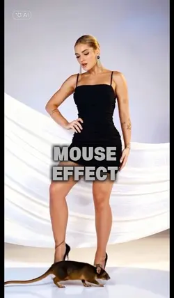 mouse effect 