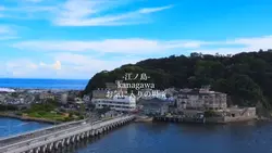 ウミユリ海底譚