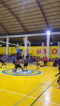 Volleyball highlight