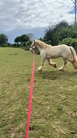 💛💛