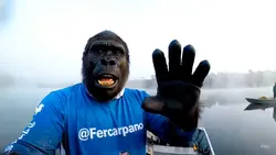 Gorila Pescador 