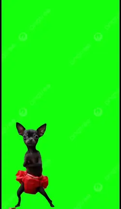 Dog dance