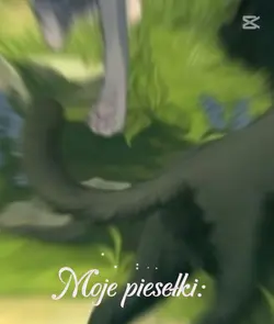 Moje piesełki