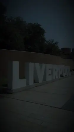 CINEMATIC 