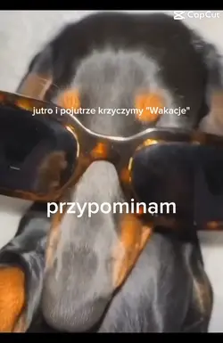 wakacje