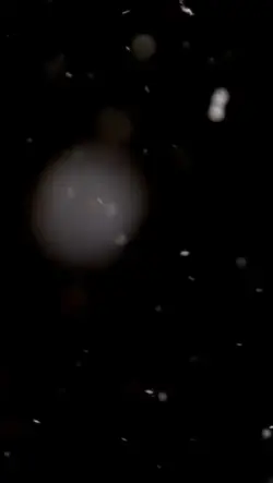am o întrebare