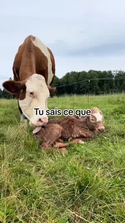 soutiens aux agricul