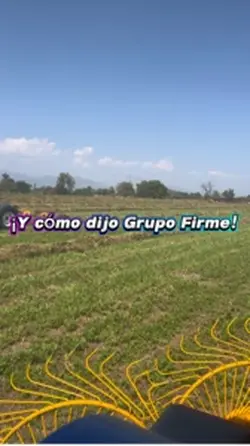 De reversa