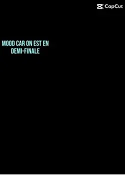 Demi finale France 
