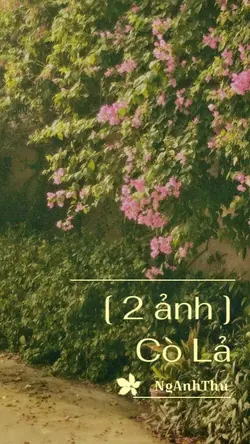 [2] cò lả 