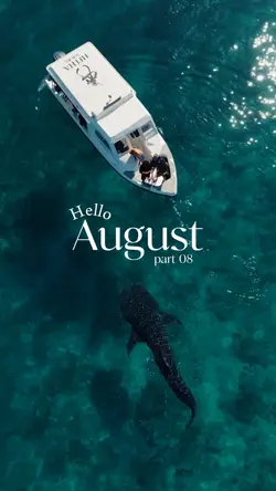 hello august 