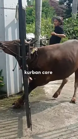 Kurban core