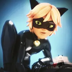 Cat Noir 🐈‍⬛