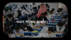 Ssc Exam 2024