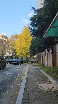 추억 정리