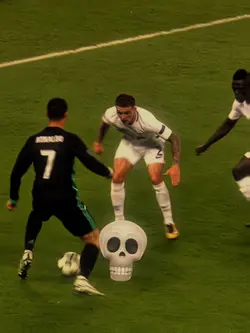Skull face template