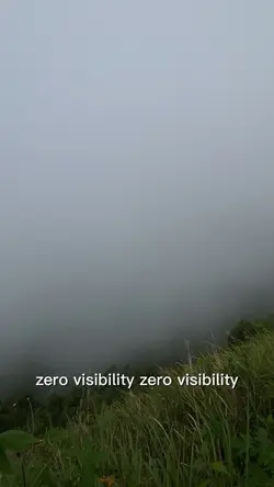 Zero Bisibility