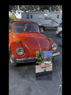 Bug Wash 🐞