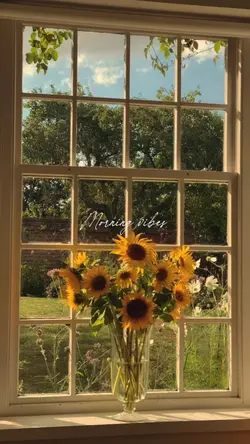 morning vibes
