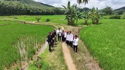 Video pemandangan