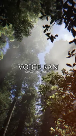 VOICE RAN