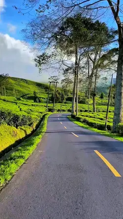 5 klip video road