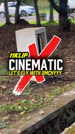 Let's fly with Omchy