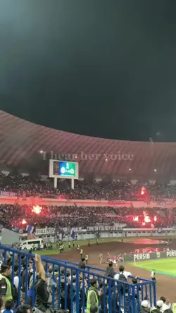 footballholigans