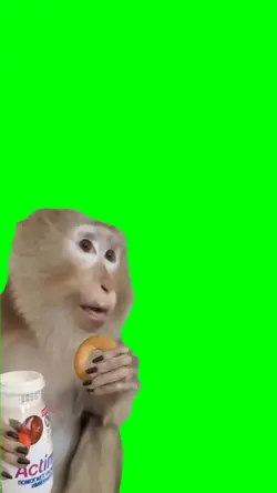 Monkey Eating Yogurt