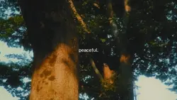 peaceful