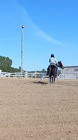 Wait for it