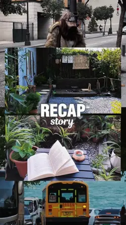 recap story 