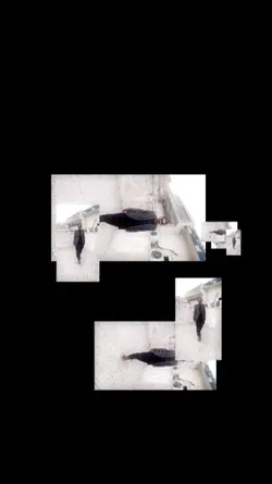 TikTok Trends