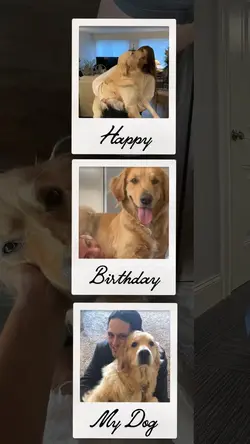 Happy birthday dog 