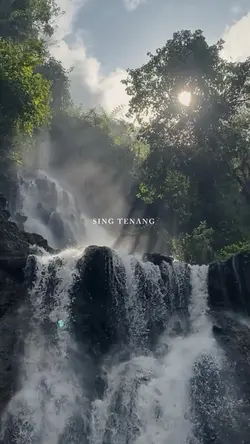 Seng tenang ojo kuaw