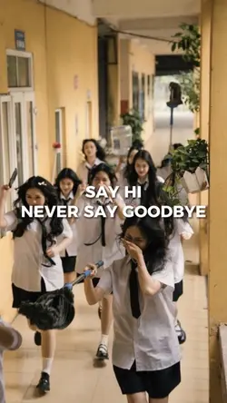 Say Hi Never Say 