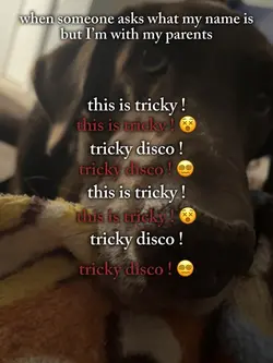 tricky disco