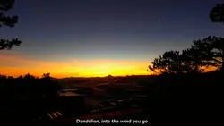 Dandelions Song 