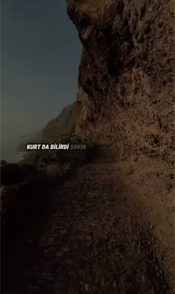 KURT DA BİLİRDİ