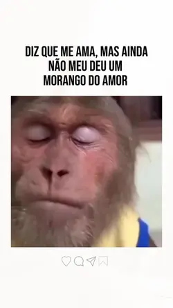 Morango do amor 