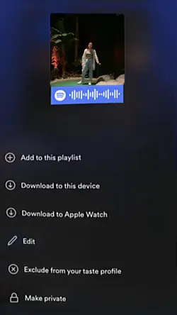 spotify interface