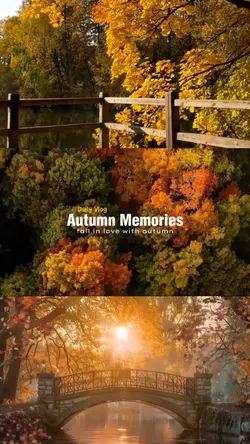 Autumn memories