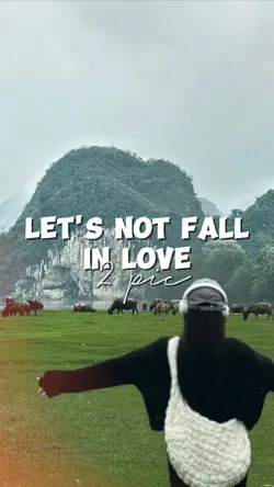 LET'S NOT FALL IN LO